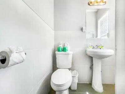 Hollywood Beach Seagull - 170