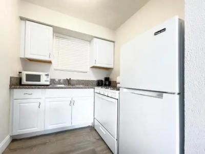 Hollywood Beach Seagull - 56