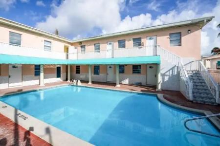 Hollywood Beach Seagull - 14