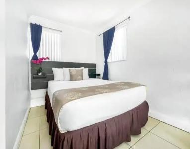 Hollywood Beach Seagull - 108