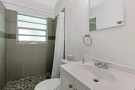 Hollywood Beach Seagull - 52