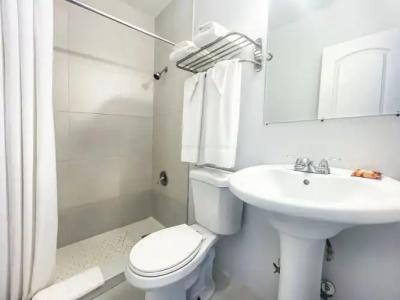 Hollywood Beach Seagull - 68