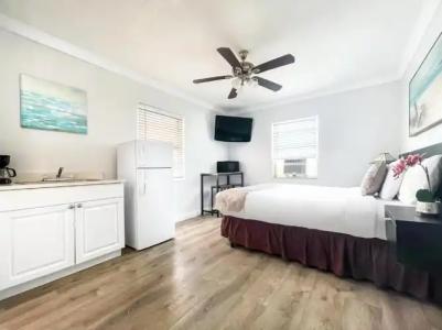 Hollywood Beach Seagull - 63