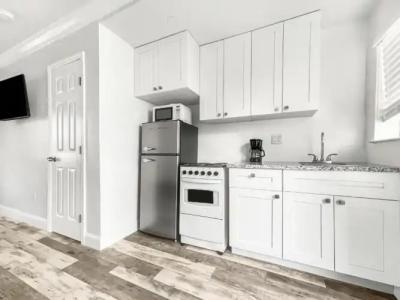 Hollywood Beach Seagull - 124