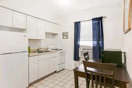 Hollywood Beach Seagull - 25