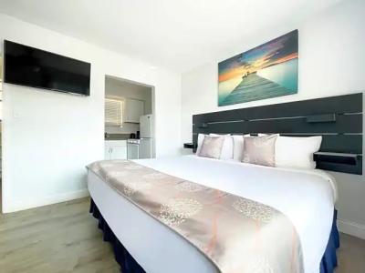 Hollywood Beach Seagull - 30