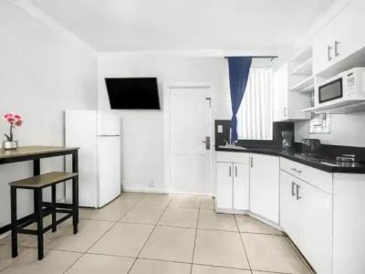 Hollywood Beach Seagull - 107