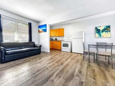 Hollywood Beach Seagull - 168