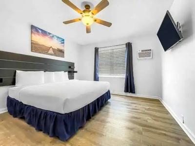 Hollywood Beach Seagull - 164