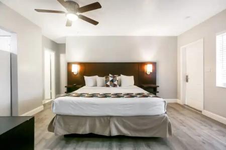 Hollywood Beach Seagull - 2