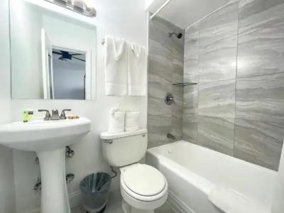 Hollywood Beach Seagull - 119