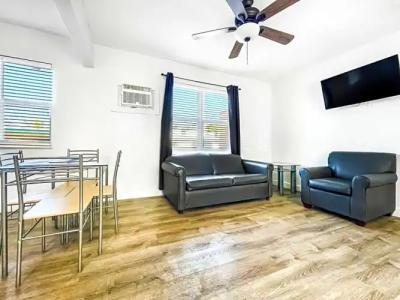 Hollywood Beach Seagull - 165