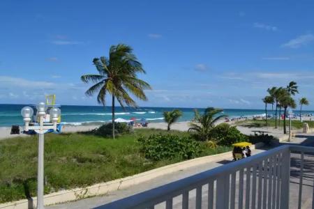 Hollywood Beach Seagull - 18