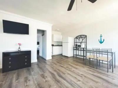 Hollywood Beach Seagull - 143