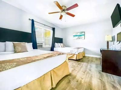 Hollywood Beach Seagull - 167