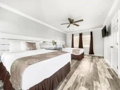 Hollywood Beach Seagull - 126