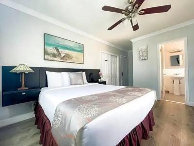 Hollywood Beach Seagull - 34