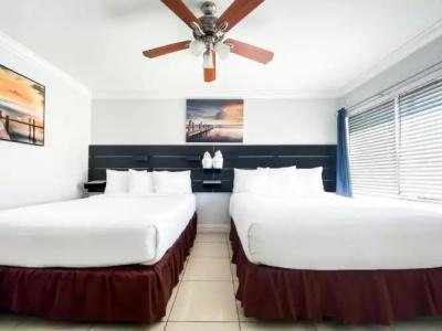 Hollywood Beach Seagull - 77