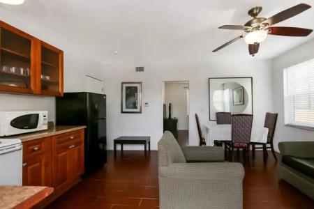 Hollywood Beach Seagull - 23