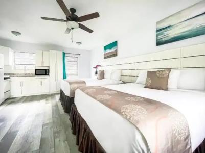 Hollywood Beach Seagull - 101