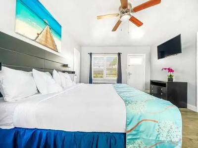 Hollywood Beach Seagull - 156