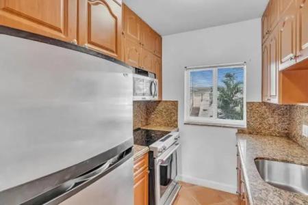 Hollywood Beach Seagull - 148