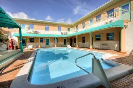 Hollywood Beach Seagull - 15