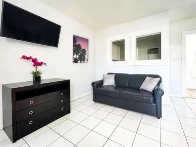 Hollywood Beach Seagull - 97