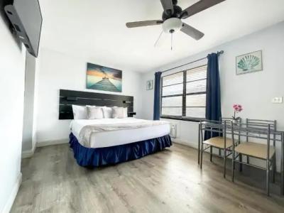 Hollywood Beach Seagull - 185