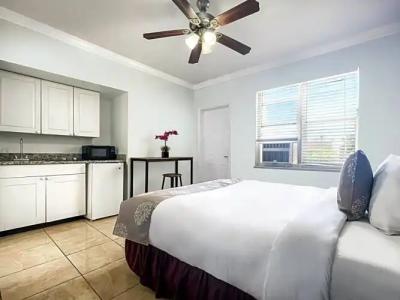 Hollywood Beach Seagull - 85