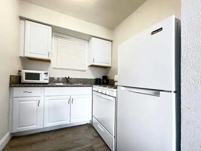 Hollywood Beach Seagull - 33