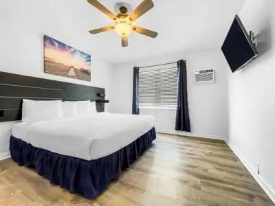 Hollywood Beach Seagull - 177