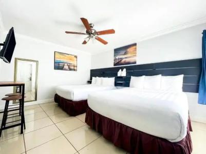 Hollywood Beach Seagull - 81