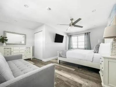 Hollywood Beach Seagull - 141