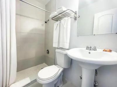 Hollywood Beach Seagull - 195