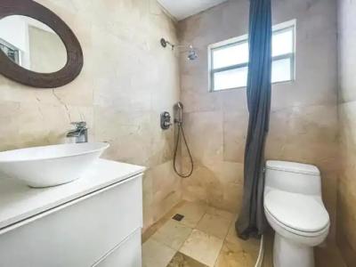 Hollywood Beach Seagull - 100