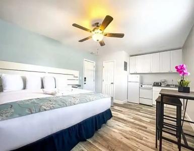 Hollywood Beach Seagull - 84