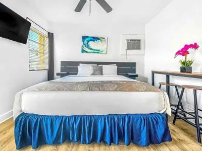 Hollywood Beach Seagull - 89