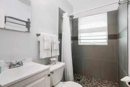 Hollywood Beach Seagull - 6