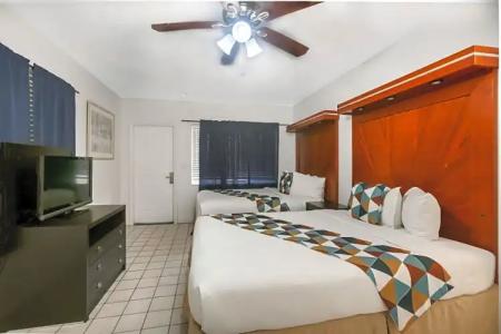 Hollywood Beach Seagull - 53