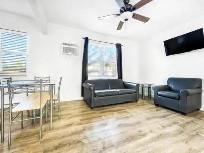 Hollywood Beach Seagull - 178