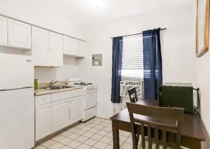 Hollywood Beach Seagull - 47