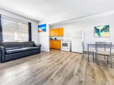 Hollywood Beach Seagull - 181