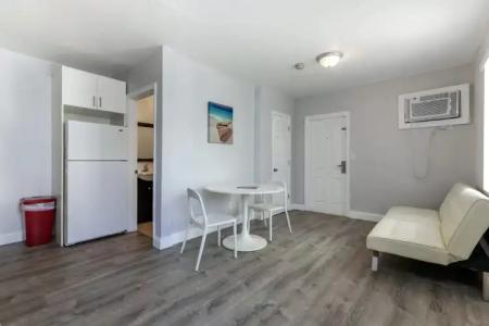 Hollywood Beach Seagull - 12