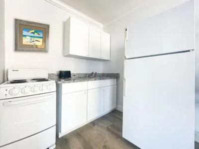 Hollywood Beach Seagull - 65