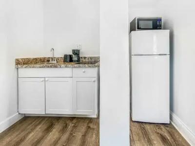 Hollywood Beach Seagull - 191