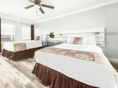 Hollywood Beach Seagull - 117