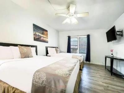 Hollywood Beach Seagull - 76