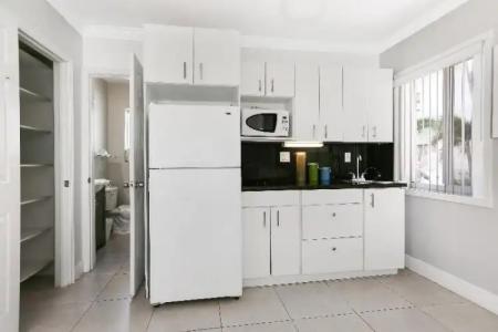 Hollywood Beach Seagull - 42