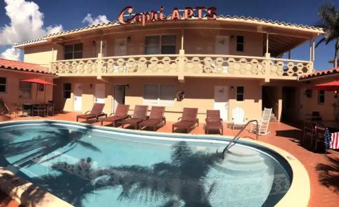 Hollywood Beach Seagull - 13